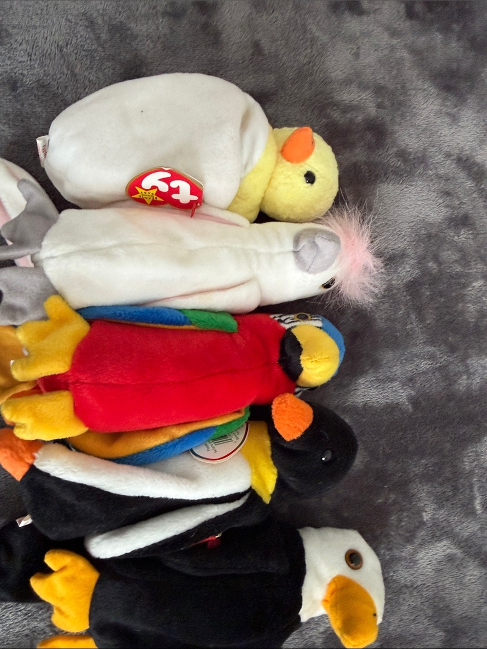 Ty Beanie Babies Bird Set